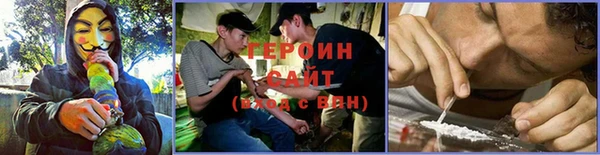 мдпв Ладушкин