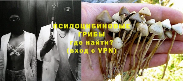соль курить ск Лагань
