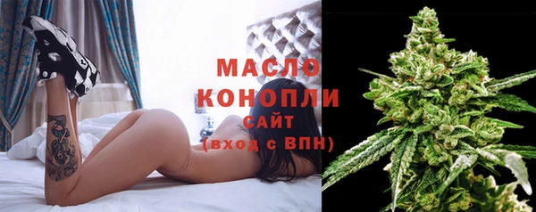 мдпв Ладушкин