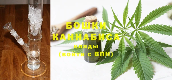 мдпв Ладушкин