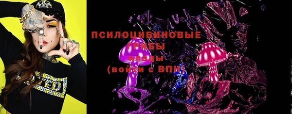 мдпв Ладушкин